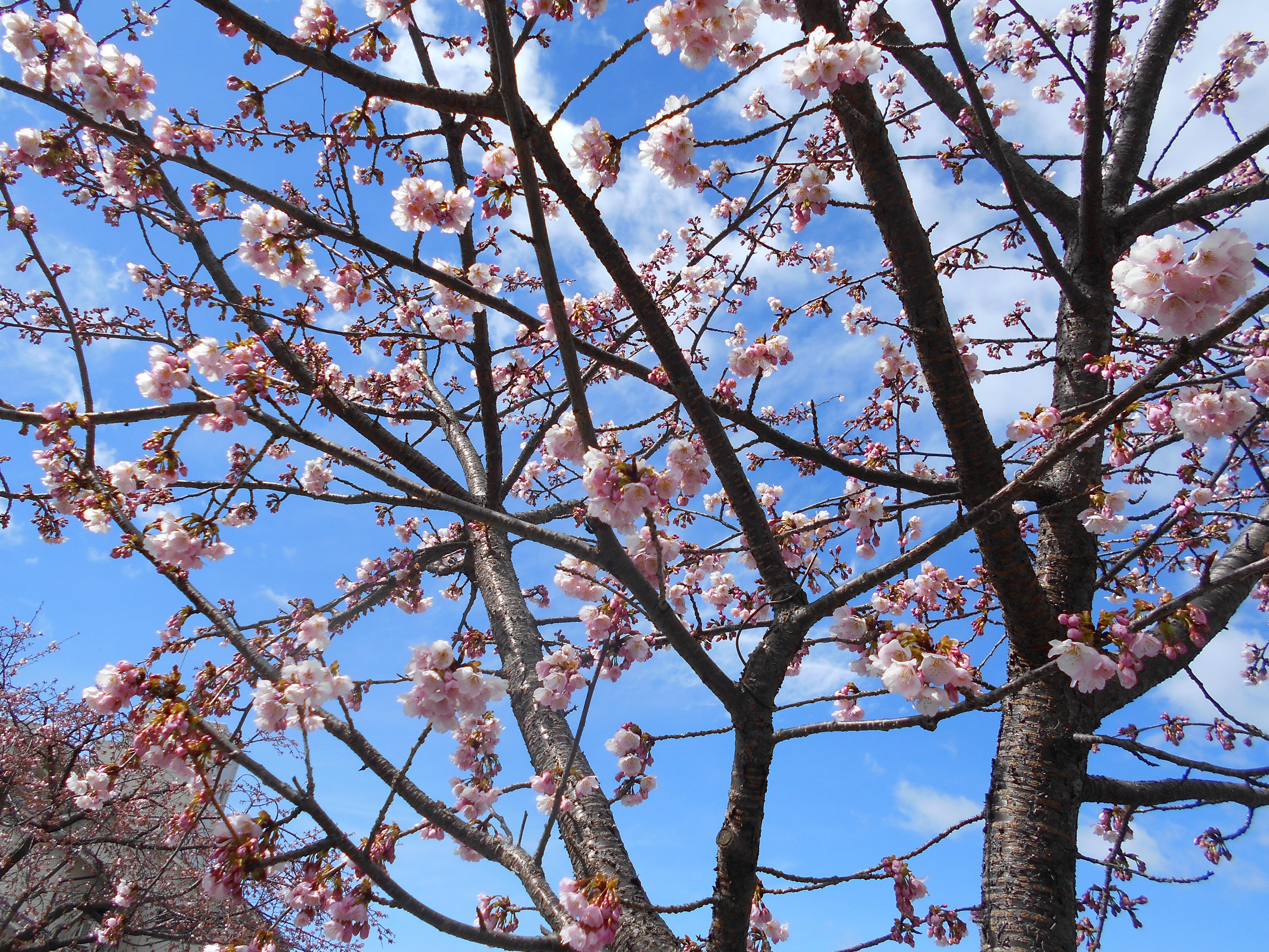 DSCN2718.JPG