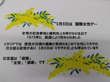 IMG_2025-03-07-11-04-15-148.jpg