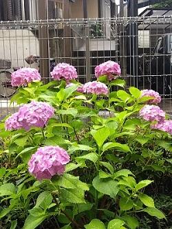 IMG_2025-06-10-11-43-25-355.jpg