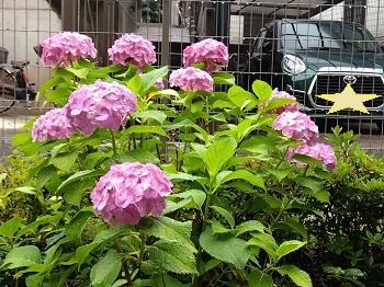IMG_2025-06-10-11-43-11-485.jpg